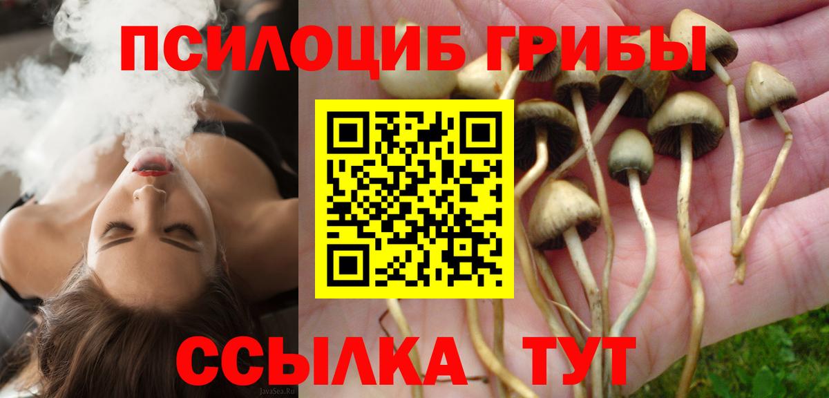 Псилоцибиновые грибы мухоморы  Вход с VPN  Великие Луки 